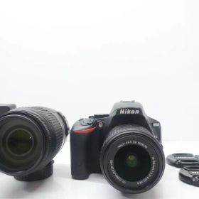 Nikon ニコン D5500 ダブルズームキット