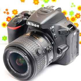 美品 ニコン Nikon D5500☆Wi-Fi搭載機♪☆高機能・高画質一眼レフ