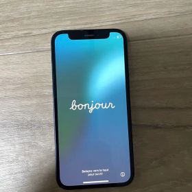 【メインカメラ不良】iPhone 12 mini 本体 箱無し ジャンク