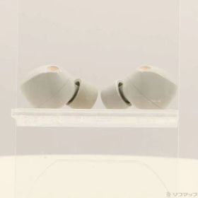 ソフマップ 〔中古品〕 WF-1000XM5 プラチナシルバー【269】