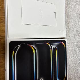 Apple iPad pro 13インチ m5