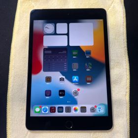 Apple iPad mini 4 128GB スペースグレー
