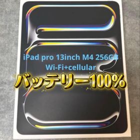 iPad Pro 13インチ M4 256GB cellular スペースグレイ