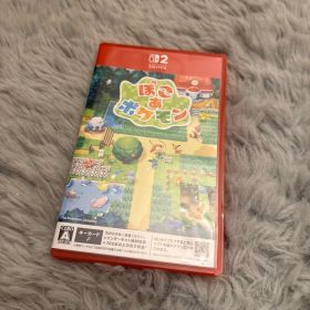 ニンテンドースイッチ2 ぽこあポケモン Nintendo Switch