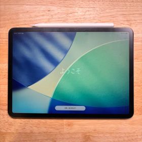 iPad Pro 第2世代 11インチ Apple Pencil 第2世代