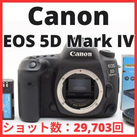 E01[7660B]83 キヤノン Canon EOS 5D Mark IV ボディ 【ショット数 29,703回】