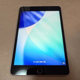 Apple iPad mini 第5世代 64GB スペースグレイ 本体のみ