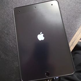 iPad mini5 セルラーモデル 256GB （touchID利用不可）