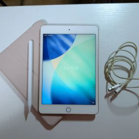 iPad mini (５世代) Wi-Fi + Cellular 64GB