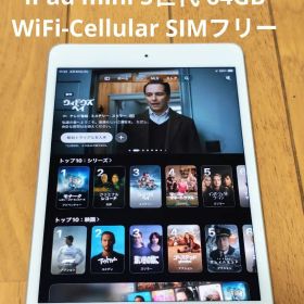 バッテリー93%【iPad mini 5世代 64GB WiFi-セルラー】