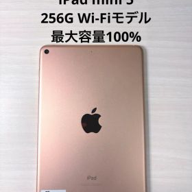 iPad mini 第5世代 256GB Wi-Fiモデル ゴールド