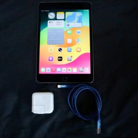 iPadmini第5世代256GB Wi-Fi＋Cellular スペースグレイ