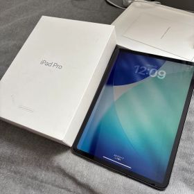 iPadPro 11インチ バッテリー91%！第一世代 64GB セルラーモデル