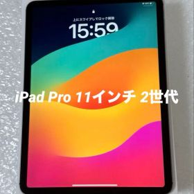 iPad Pro 11インチ 第2世代 128GB Cellularモデル 美品