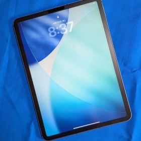 iPad Pro 11 第3世代 M1 256GB セルラー SIMフリー 美品