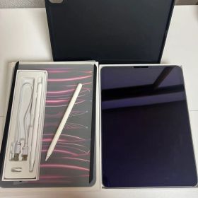 iPad Pro 11インチ 第4世代256GB ペンシル セット