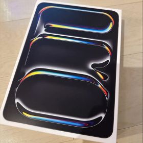 iPad Pro (第8世代) 11インチ スペースブラック 512GB Wi…