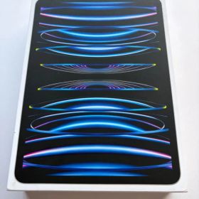 新品・本体未接触 iPad Pro 11インチ 第4世代 1TB シルバー