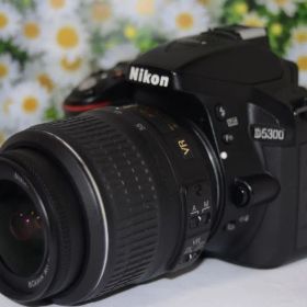 ❤️Wi-Fi搭載でスマホ転送❤️自撮り❤️Nikon D5300❤️超高性能