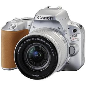 Canon EOS Kiss X9 レンズキット シルバー 良品 動作確認済み 1ヶ月保証付 初心者向け