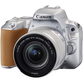 キヤノン Canon EOS Kiss X9 EF-S 18-55mm STM 標準 レンズセット シルバー 手振れ補正 デジタル一眼レフ カメラ 中古