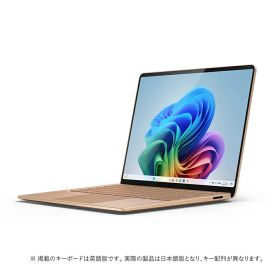の*様 Microsoft Surface Laptop (第1世代)　中古 Microsoft 〔中古〕Surface Laptop (第1世代) A1769 Core i5