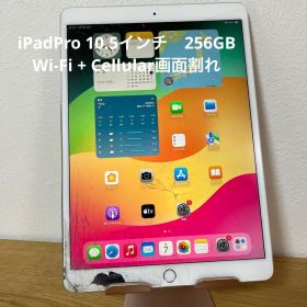 iPadPro 10.5インチ256GB Wi-Fi + Cellular画面割