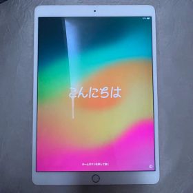 Apple iPad Pro 10.5インチ 動作確認済み
