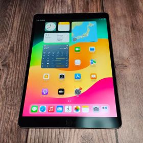 iPad Pro 10.5インチ SIMフリー 64GB バッテリー96%