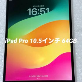 iPad Pro 10.5インチ 64GB Cellularモデル 動作確認済み