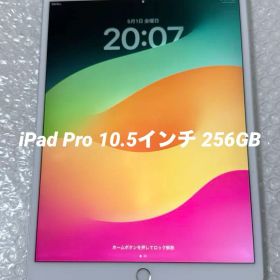 iPad Pro 10.5インチ 256GB Cellularモデル