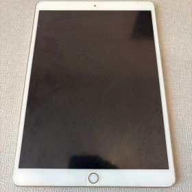 iPad Pro 10.5インチ Wi-Fi+Cellularモデル 256GB