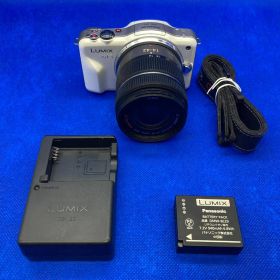 Panasonic LUMIX DMC-GF3