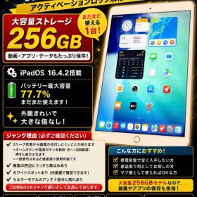 iPad Air (第3世代) 256GB ジャンク