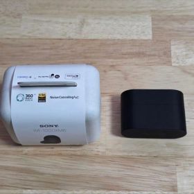 ソニー SONY WF-1000XM6 ブラック