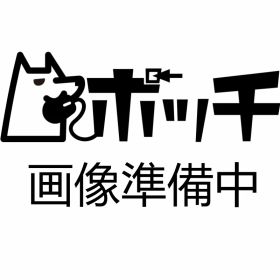 チケット・トゥ・ライド:日本/イタリアマップ 多言語版