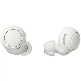 ソニー 完全ワイヤレスイヤホン WF-C500 : /軽量小型5.4g/高精度通話品質/簡単ペアリング/IPX4防滴性能/ホワイト WF 送料無料