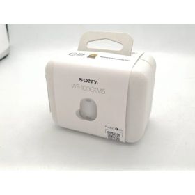 【未使用】SONY WF-1000XM6 (S) [プラチナシルバー]【広島本通】保証期間1ヶ月