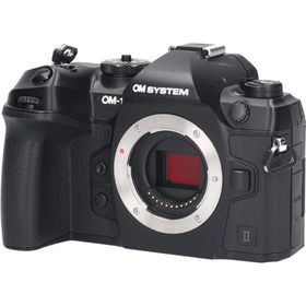 ＯＭ－１ＭＡＲＫ ＩＩ(デジタル一眼) ＯＭ－１ＭＡＲＫ ＩＩ(デジタル一眼)