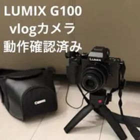 Panasonic LUMIX G100 DC-G100V-K ミラーレス一眼