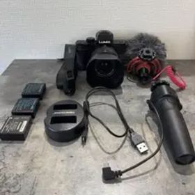 LUMIX DC-G100ミラーレス一眼カメラ 本体と付属品