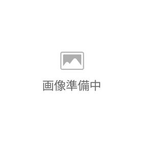 浅沼商会 DC8300 デジタルカメラ Realishot 光学8倍ズーム 8MP CMOSセンサー搭載 ブラック