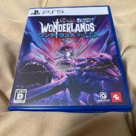 プレイステーション(PlayStation)のワンダーランズ ～タイニー・ティナと魔法の世界 超レベルアップ・エディション(家庭用ゲームソフト)