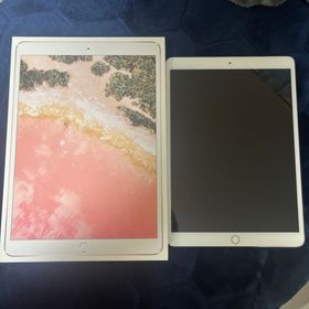 アップル(Apple)のiPad Pro 10.5 256GB(タブレット)