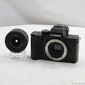 LUMIX DC-G100V 標準ズームレンズキット ブラック