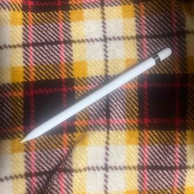 アップル(Apple)のApple Pencil 第1世代(その他) アップル(Apple)のApple Pencil 第1世代(その他)