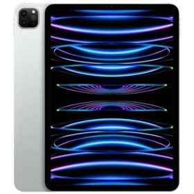 ＼最大2,000円OFF！クーポン配布中 5/23 20:00〜5/16 01:59まで／iPad Pro 11インチ Wi-Fi 1TB MNXL3J/A（シルバー）【国内正規品】APPLE【送料無料（沖縄・離島送料別）】