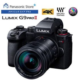 公式店 パナソニック デジタル一眼カメラ DC-G9M2L レンズキット