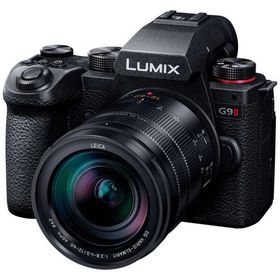 パナソニック Panasonic ミラーレス一眼カメラ DC-G9M2L