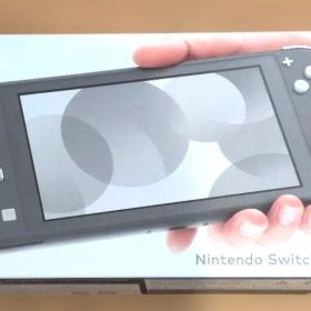 Nintendo Switch Lite グレー